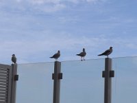 Naher Osten 2025 - 7